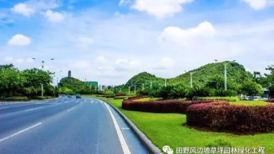 道路綠化中，城市干道植物應(yīng)怎樣配置？