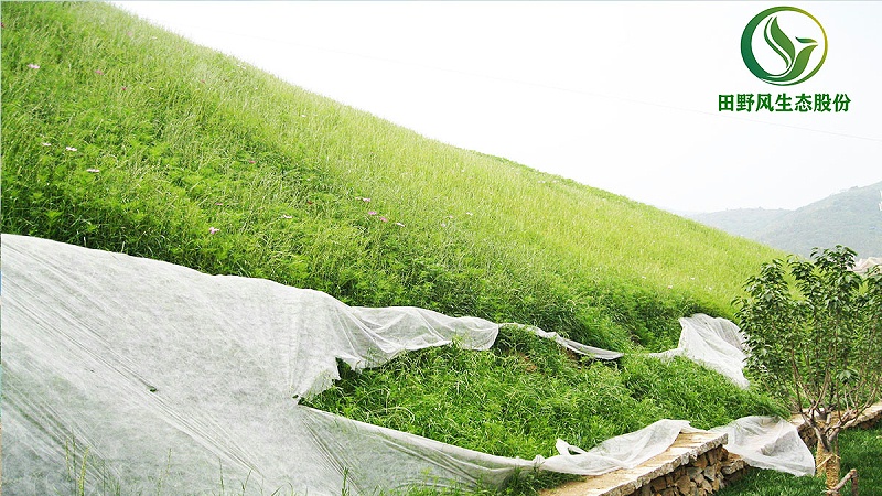 邊坡綠化、生態(tài)防護(hù)