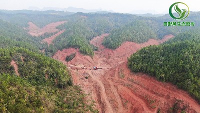 韶關(guān)市湞江區(qū)益豚邊坡復(fù)綠工程正式啟動