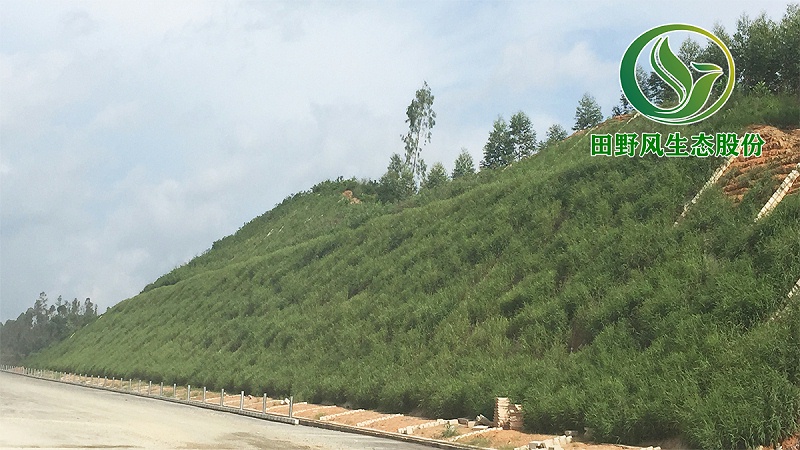 高速公路綠化，生態(tài)防護(hù)