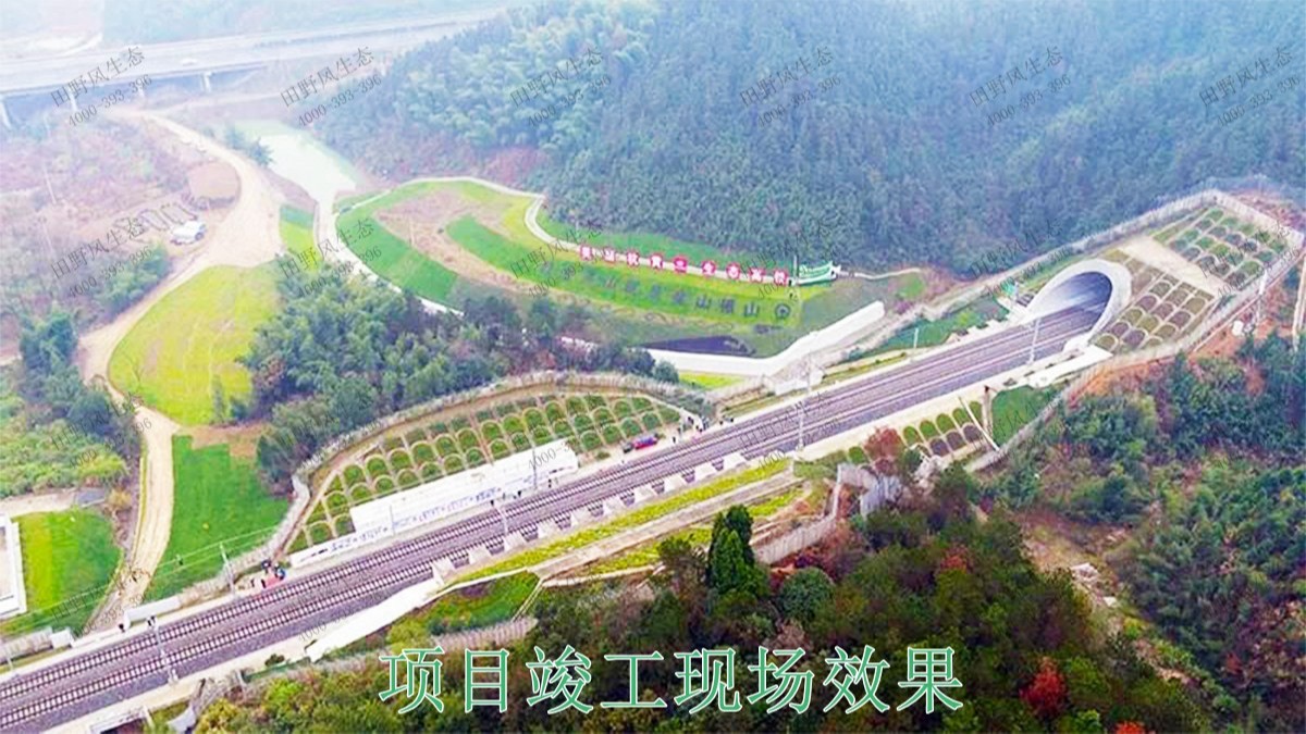 贛深鐵路廣東段鐵路邊坡綠化工程