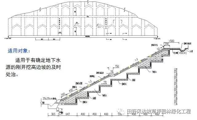 微信圖片_20200603082748