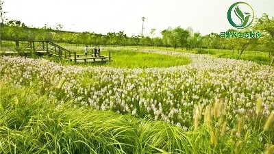 田野風(fēng)草坪管理