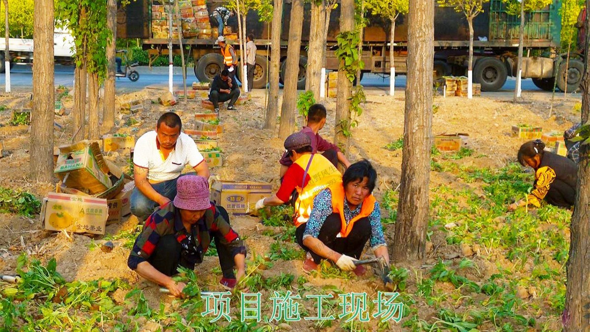 嶺南大地休閑生態(tài)綜合體項目