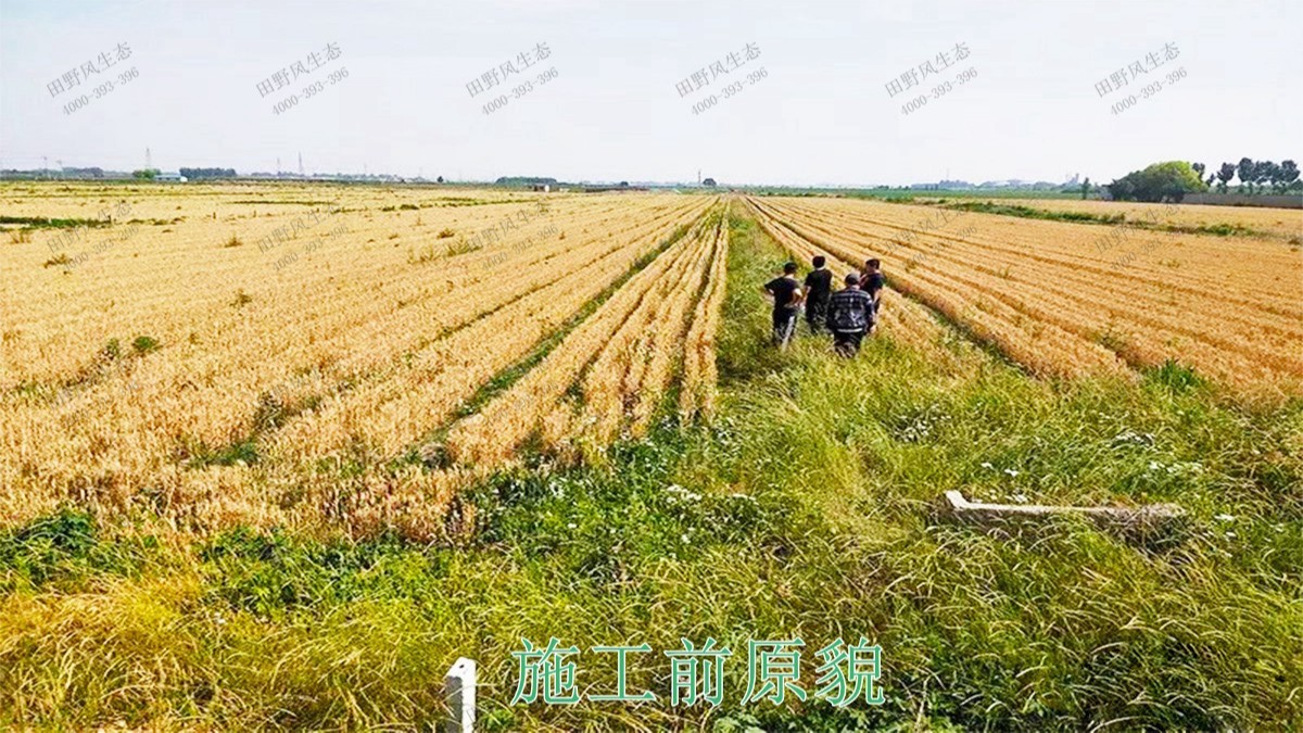 三水僑鑫生態(tài)園綜合體項目