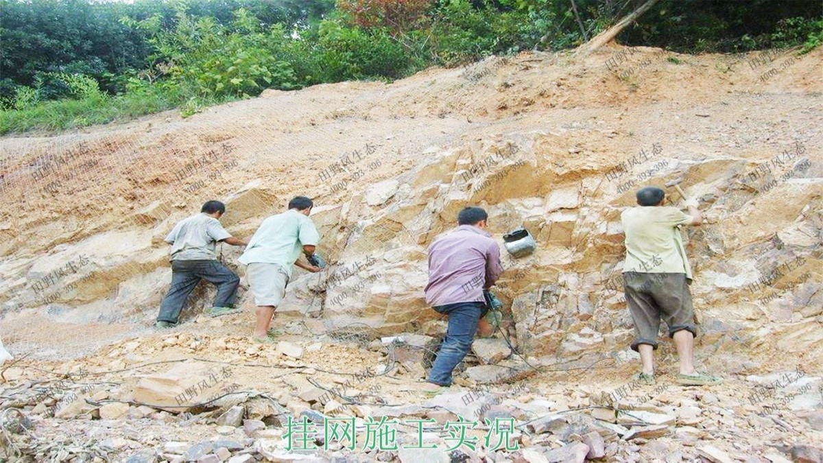 福建龍巖鐵礦山邊坡復綠