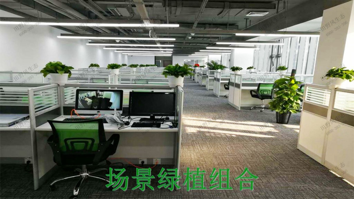 廣州市創(chuàng)佳建筑模型公司綠植展示